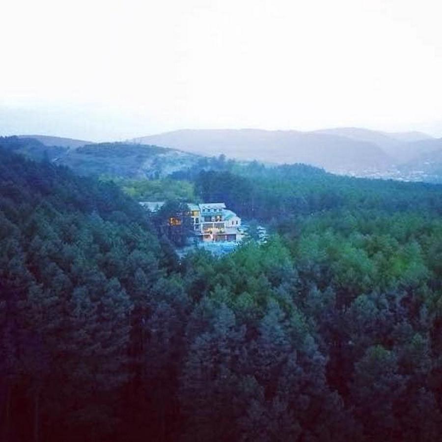 Hotel Szurami Kültér fotó