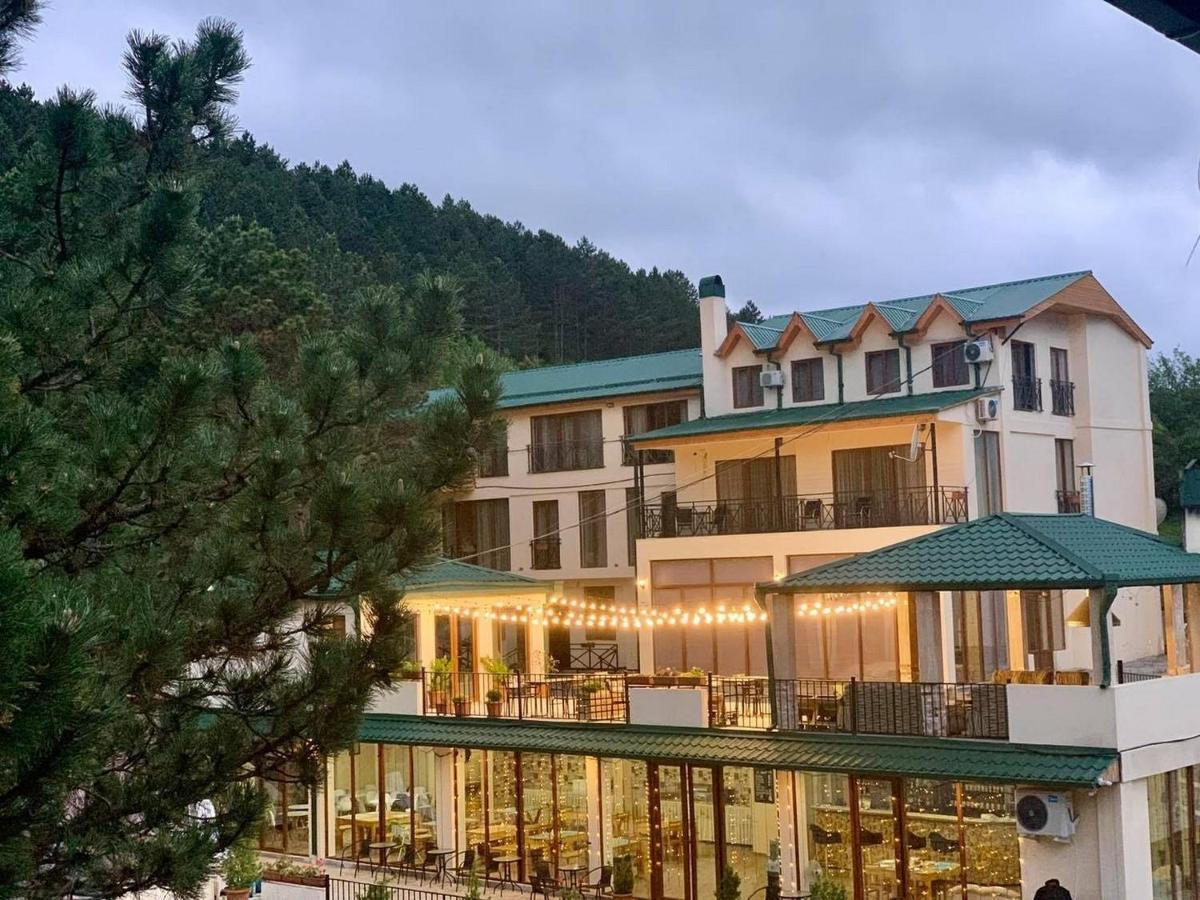 Hotel Szurami Kültér fotó