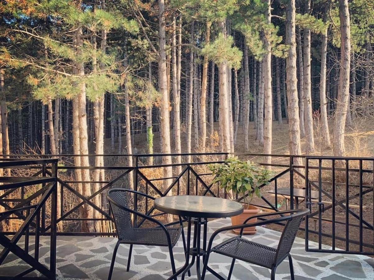 Hotel Szurami Kültér fotó
